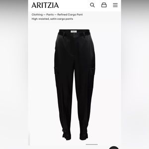 Aritzia Babaton Refined Cargo Pants